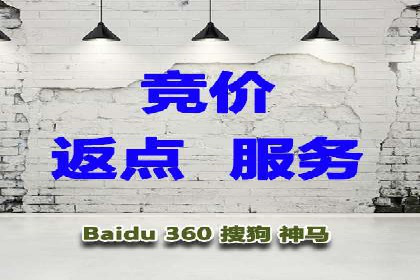 SEM外包助力品牌增长案例解析